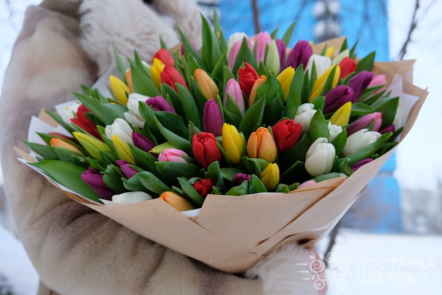 Купить букет тюльпанов в москве недорого с доставкой цветы заказать в тамбове